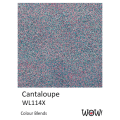 PUDER DO EMBOSSINGU - WOW! - CANTALOUPE