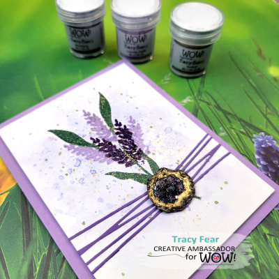 PUDER DO EMBOSSINGU - WOW! - BLACKBERRY - FUNKY FOSSIL