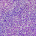 PUDER DO EMBOSSINGU - WOW! - The Violetera *Cuadritos de Colores*