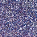 PUDER DO EMBOSSINGU - WOW! - TOPAZ TWINKLE *Sara Naumann*