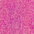 PUDER DO EMBOSSINGU - WOW! - BUBBLICIOUS