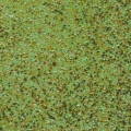 PUDER DO EMBOSSINGU - WOW! - LUCKY CLOVER