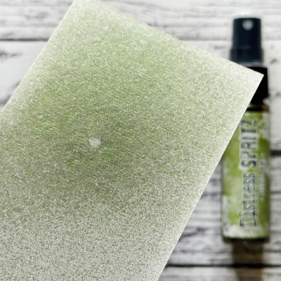 Ranger • Distress Spritz Peeled Paint