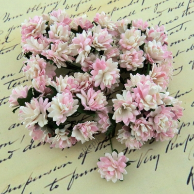 PROMLEE FLOWERS - KWIATKI PAPIEROWE - ASTER - biało-różowe - 15mm