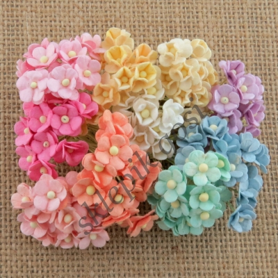 PROMLEE FLOWERS - KWIATKI PAPIEROWE - MINI Sweetheart Blossoms - jasny łosoś - 10szt - 2,90zł