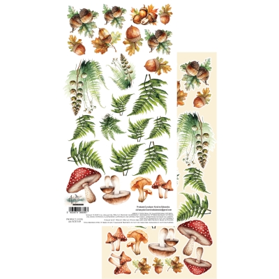 # 55 FRIENDS OF THE FOREST / PRZYJACIELE LASU - ARKUSZ Z DODATKAMI - 6x12'' - AA-FOTF-09