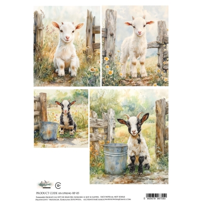 AA-SPRING-RP-05 - PAPIER RYŻOWY