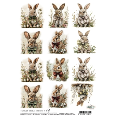 AA-SPRING-RP-01 - PAPIER RYŻOWY