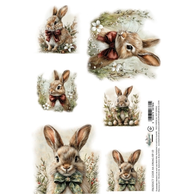 AA-SPRING-RP-10 - PAPIER RYŻOWY