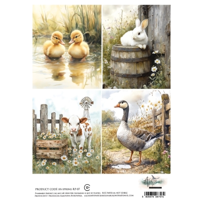 AA-SPRING-RP-07 - PAPIER RYŻOWY