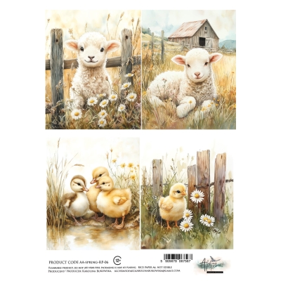 AA-SPRING-RP-06 - PAPIER RYŻOWY