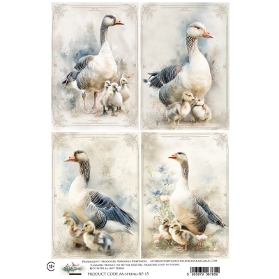 AA-SPRING-RP-15 - PAPIER RYŻOWY