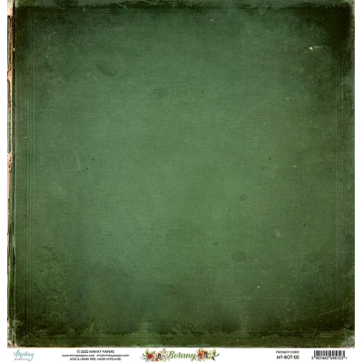 Papier 30,5 cm x 30,5 cm - BOTANY 02