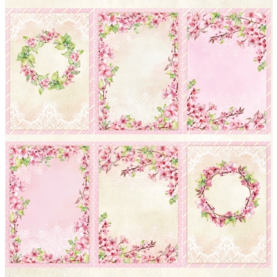 OKŁADKA - PINK Blossom