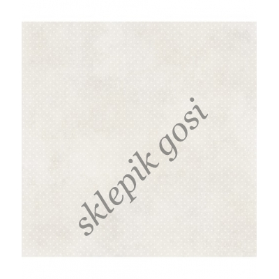 Zestaw papierów do scrapbookingu - ScrapAndMe - Nice Moments 05/06