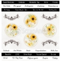 Zestaw papierów Sunflowers - SCRAPANDME