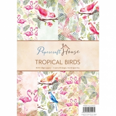 PAPIERY ZESTAW - PAPERCRAFT HAUSE - TROPICAL BIRDS