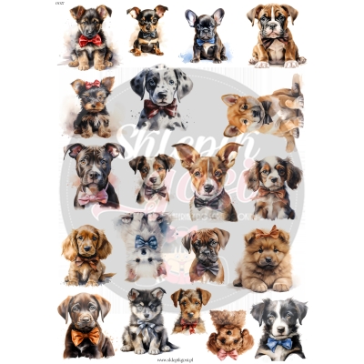 ARKUSZ A4 - NR 0027 - PUPPIES (SZCZENIACZKI)