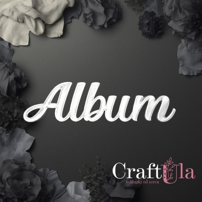 ALBUM - napis - Akryl - srebro - 0142s