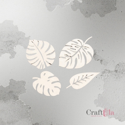 Liście monstery - 2551