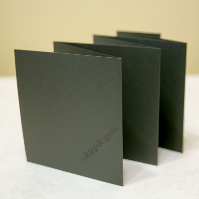 Ciemny szary baza - kwadrat - Albumowa 16 cm x 100 cm pobigowana co 16 cm